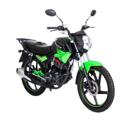 MOTOCICLETA RONCO PANTRO150R